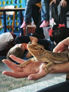 Školní družina - Archa zvířat